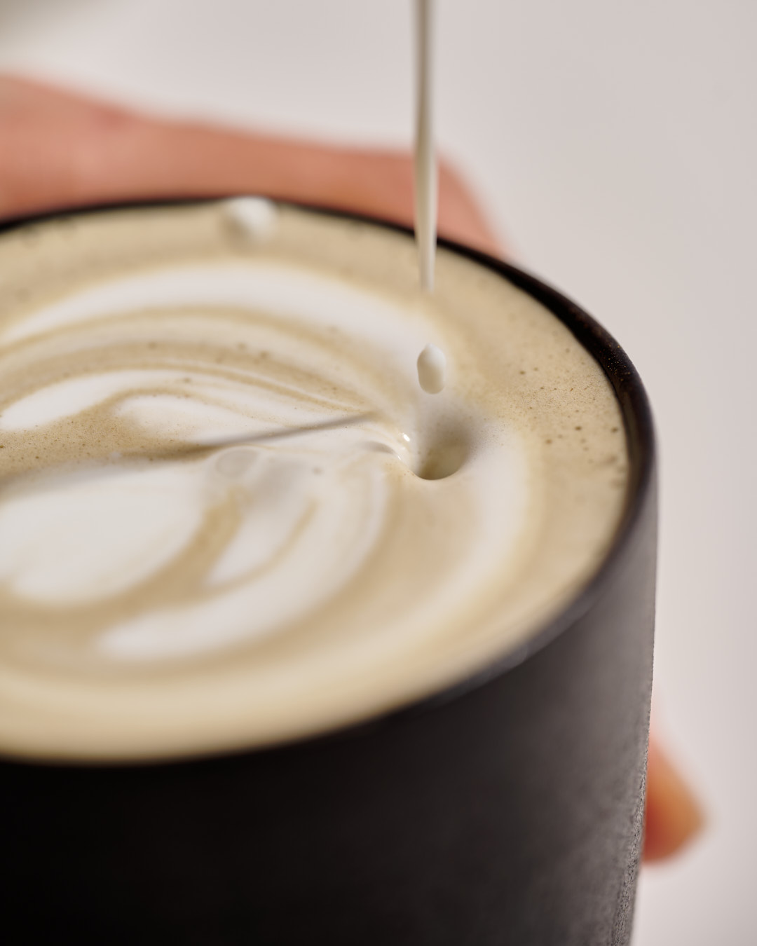 Hojicha Powder ('25) - Slika 5