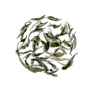 Bai Mu Dan White Tea ('26)