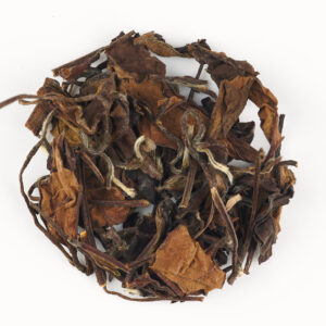 Shoumei White Tea